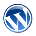 wordpress-hata-kategori-guncellenmedi